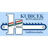 Kubicek