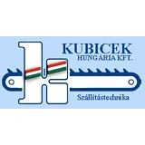 Kubicek Kubicek
